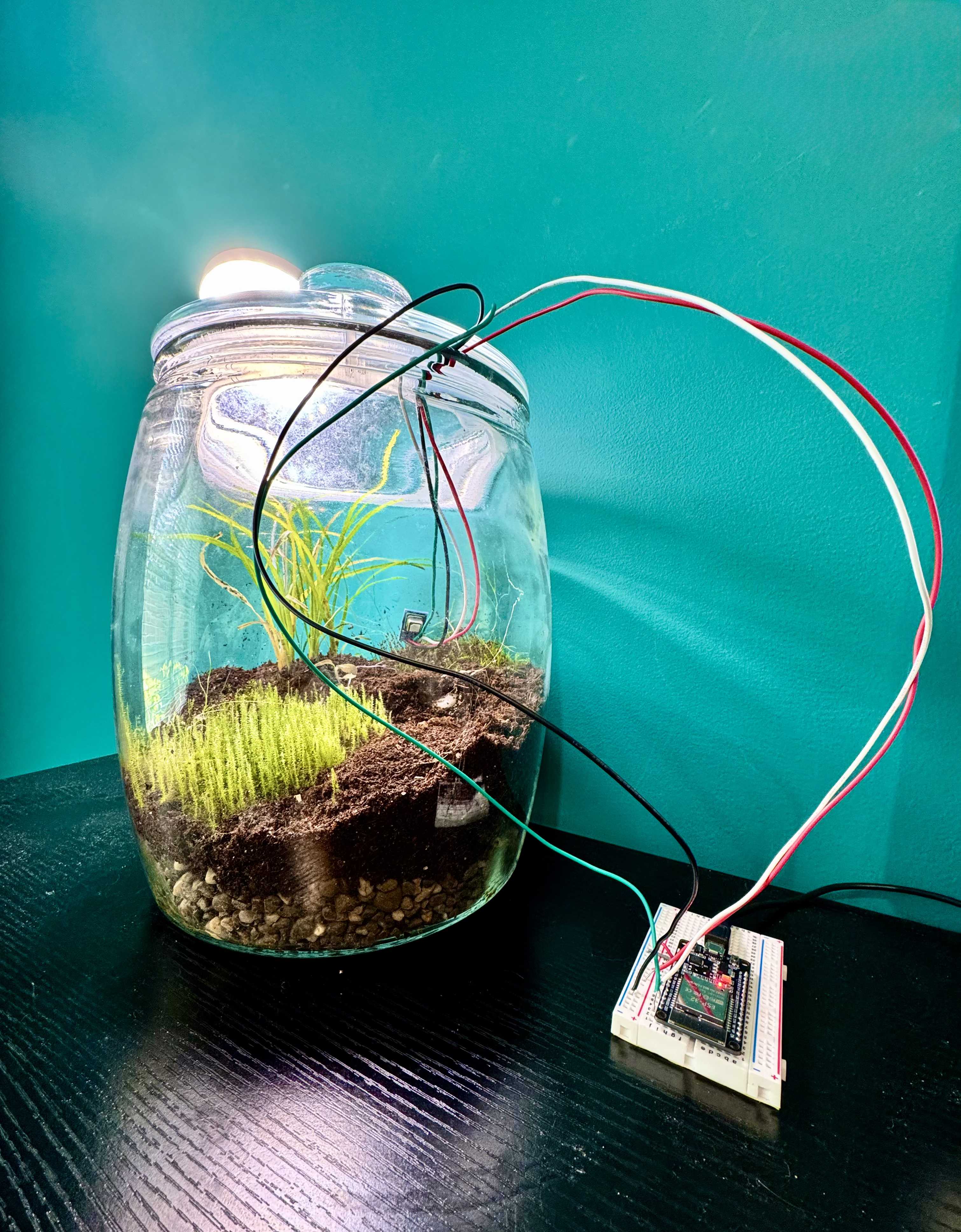 Full setup with sensor and dashboard, May 7